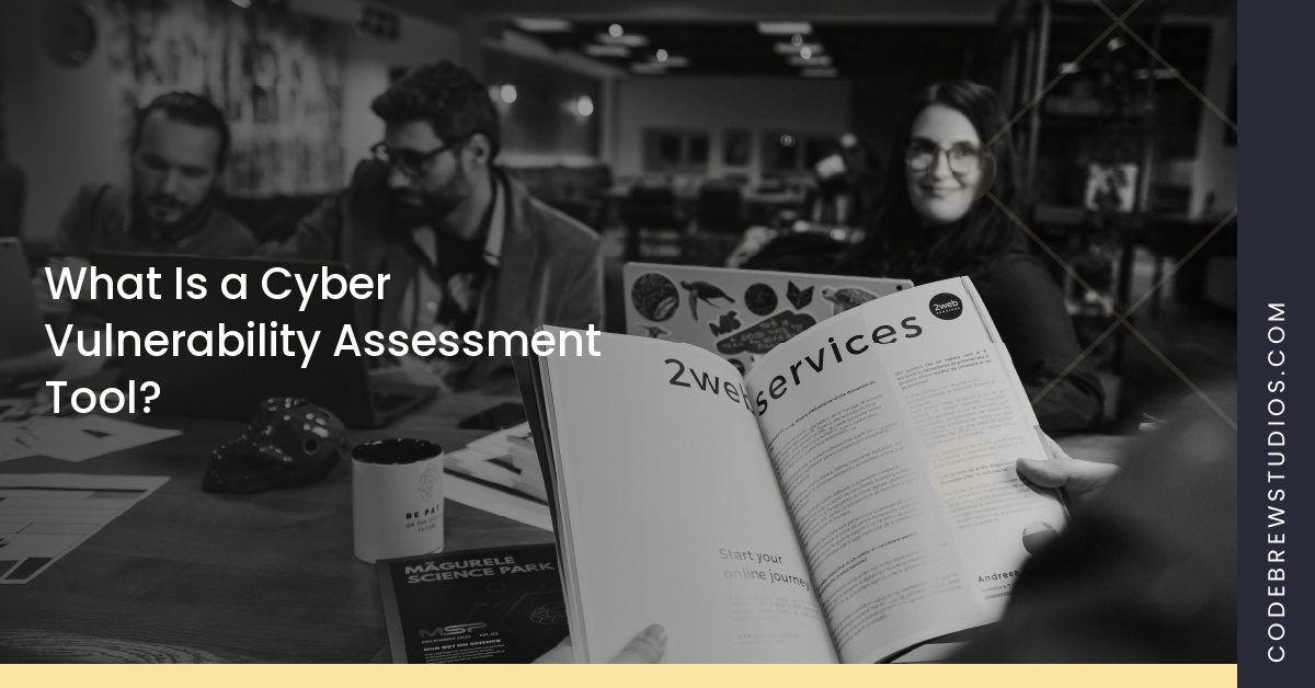 What Is a Cyber Vulnerability Assessment Tool?